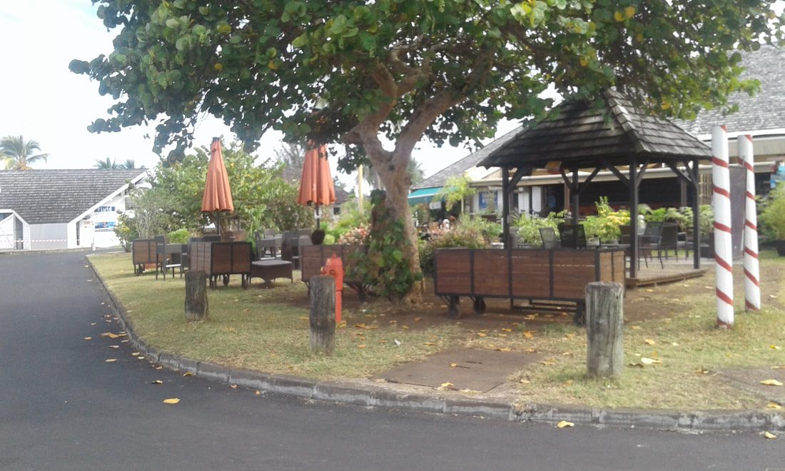 Meeting point under the tree, La Casa Bianca